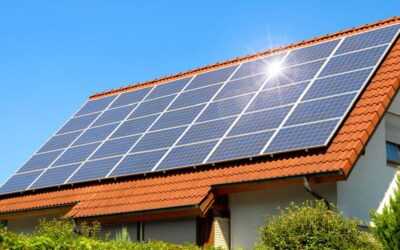 Types of Solar Panels: How to Choose Based On Efficiency and Savings