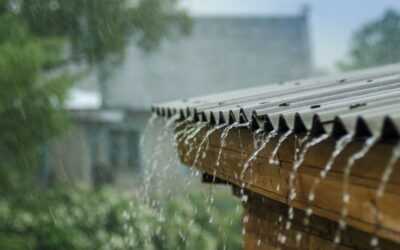 Shield Your Roof! How To Prevent Roof Problems In A Typhoon-Prone Area