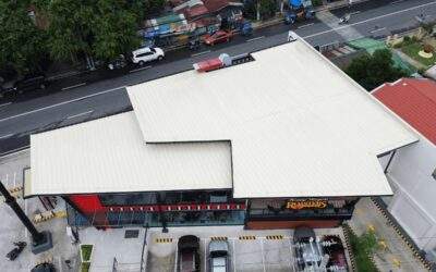 What Makes Insulated Roofing Panels Cost-Effective For the Long-Term?